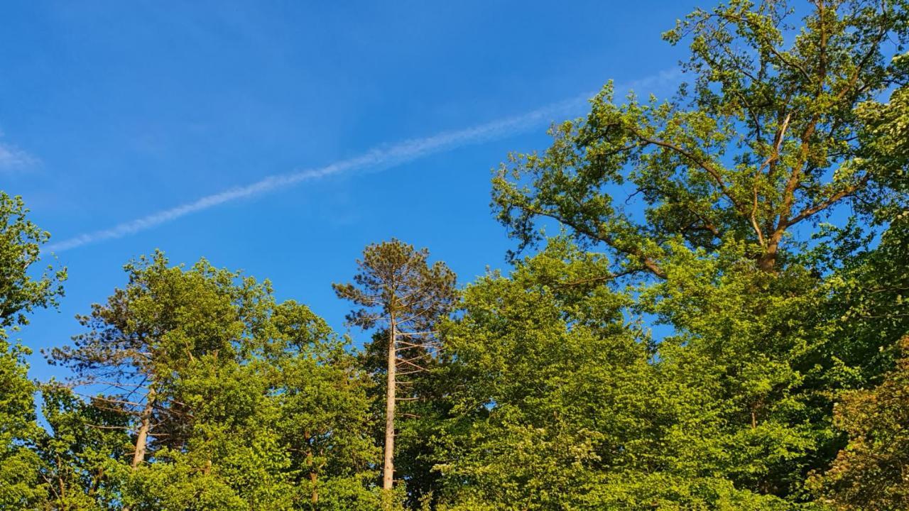 Gite De Terre Et De Charme Hamoir Extérieur photo