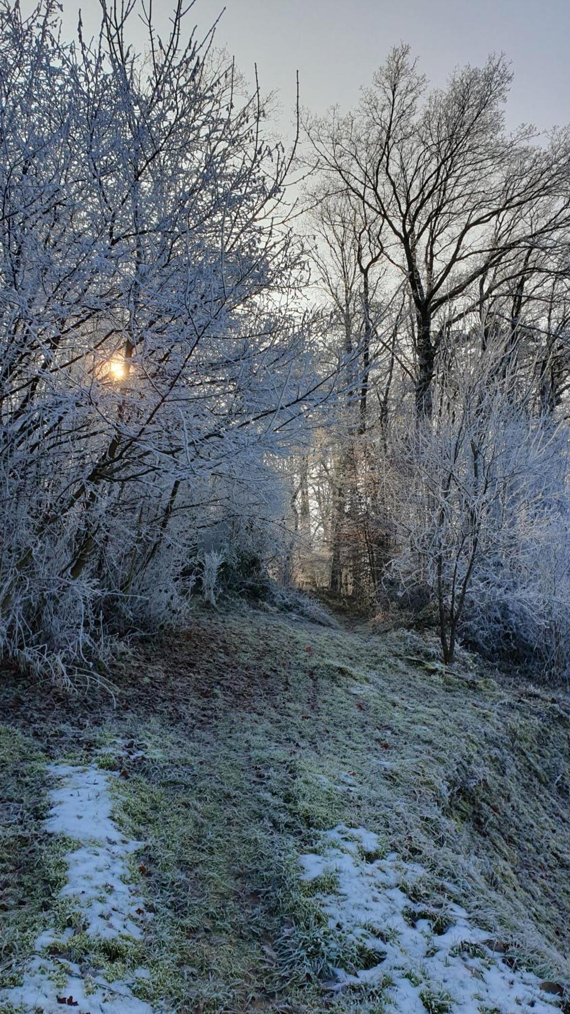 Gite De Terre Et De Charme Hamoir Extérieur photo